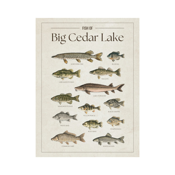 Big Cedar Lake Print