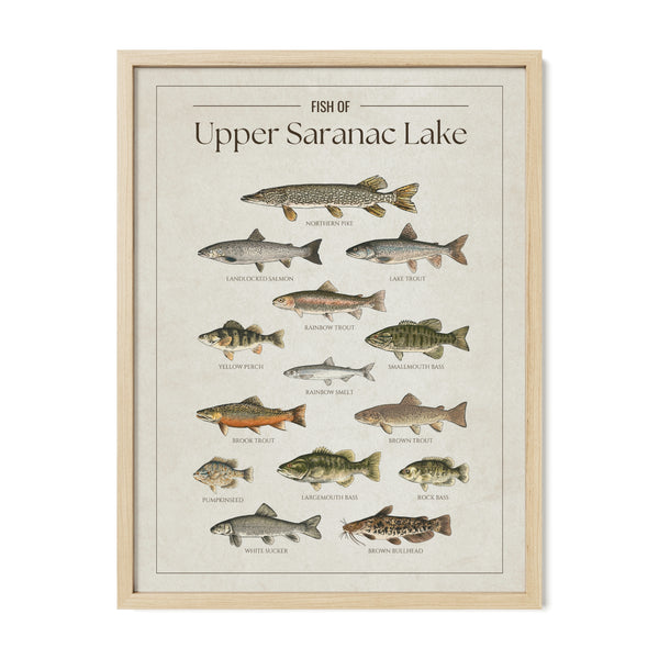 Upper Saranac Lake Print