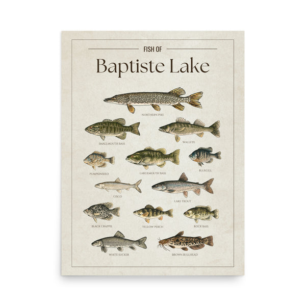 Baptiste Lake Print