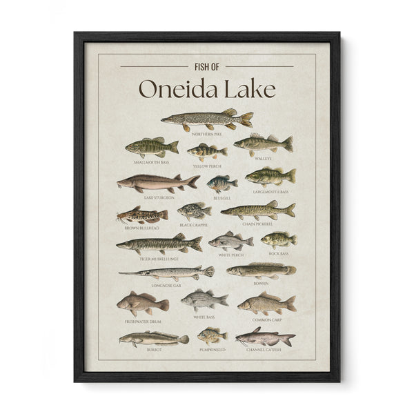 Oneida Lake Print