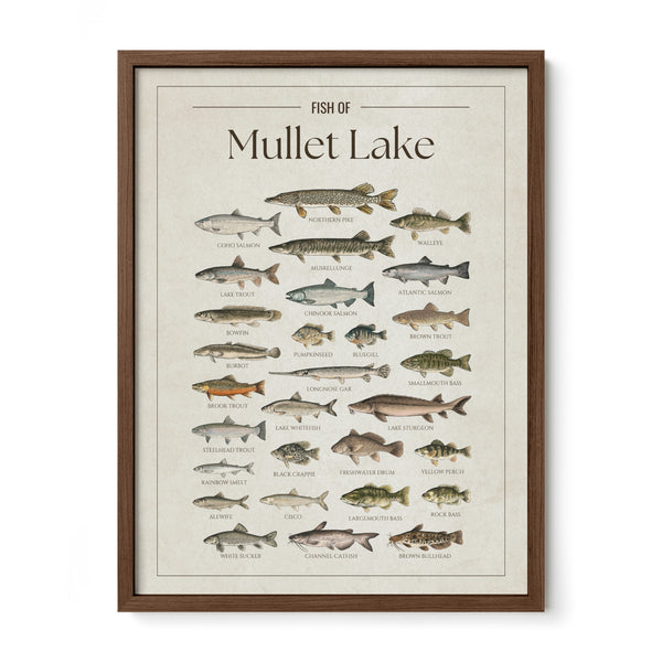 Mullet Lake Print