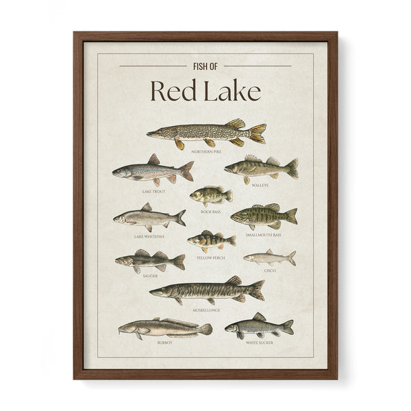Red Lake Print