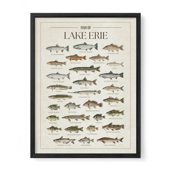 Lake Erie Print
