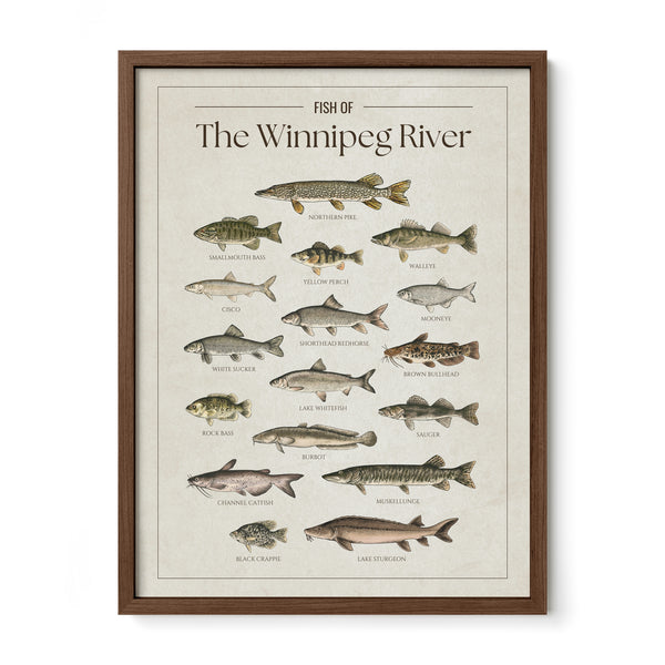 The Winnipeg River Print