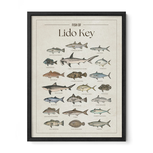 Lido Key Print