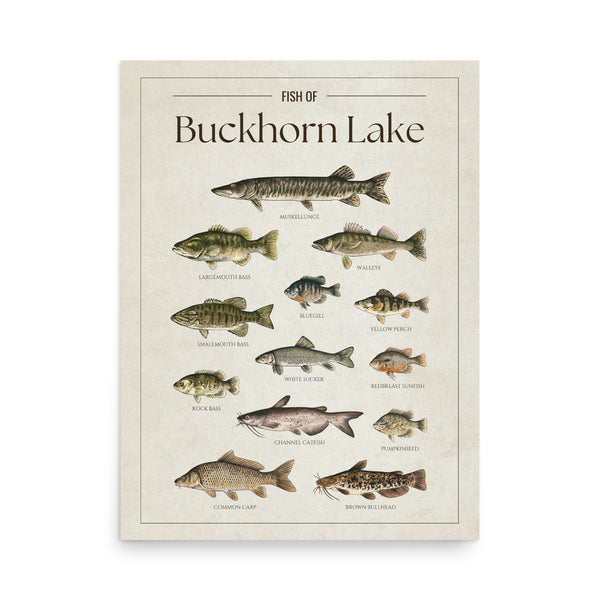 Buckhorn Lake Print