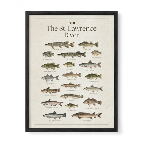 St. Lawrence River Print