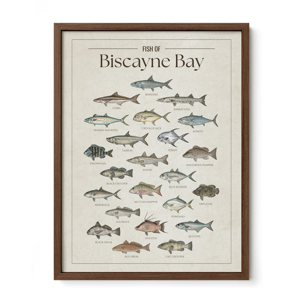 Biscayne Bay Print
