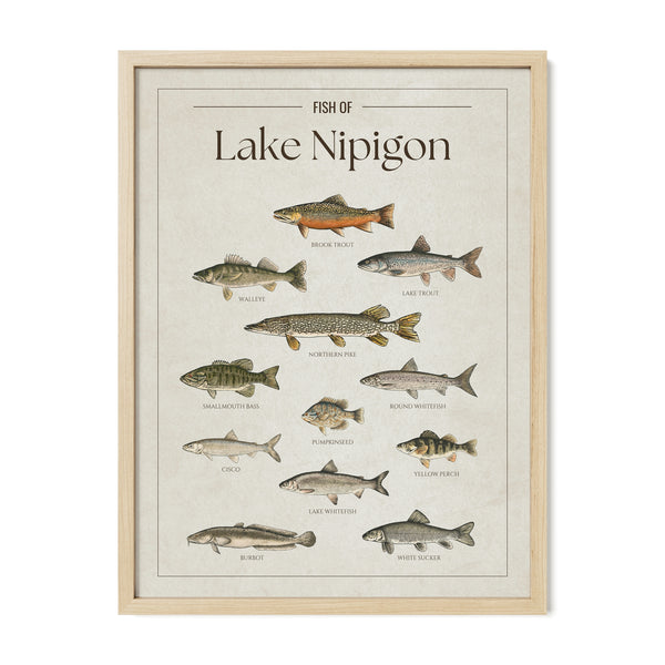 Lake Nipigon Print