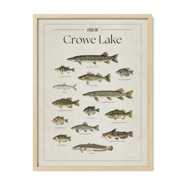 Crowe Lake Print