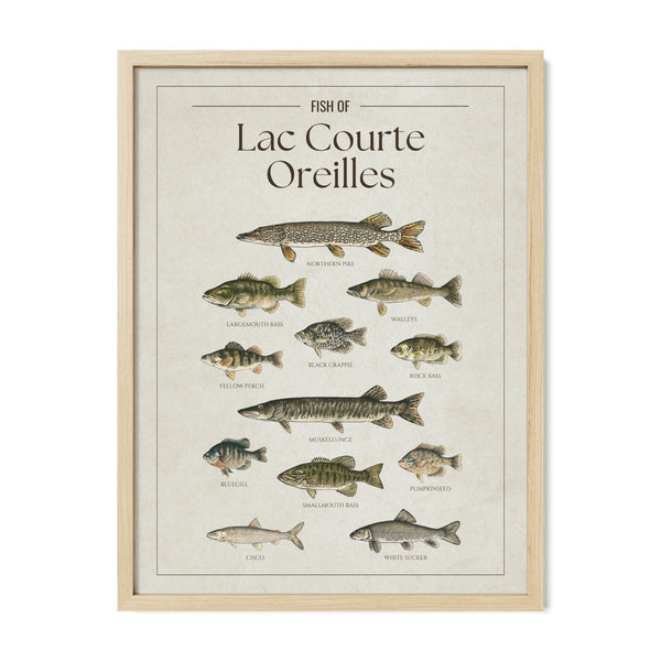 Lac Courte Oreilles Print