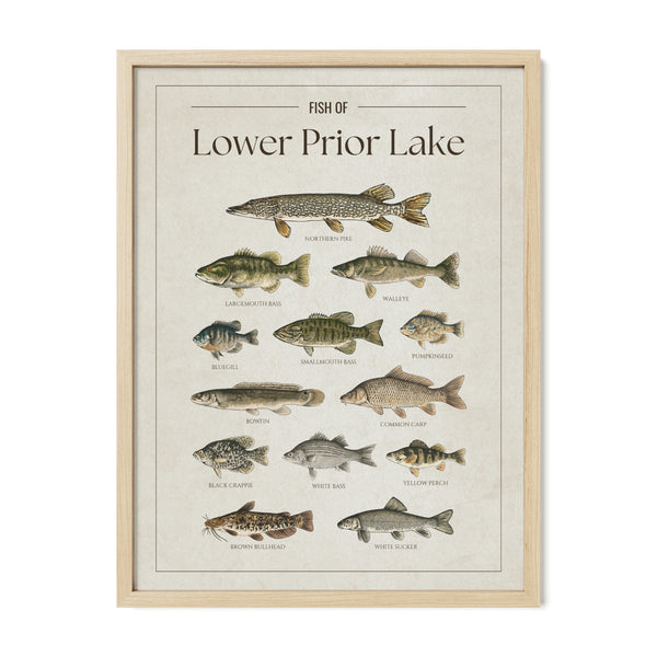 Lower Prior Lake Print
