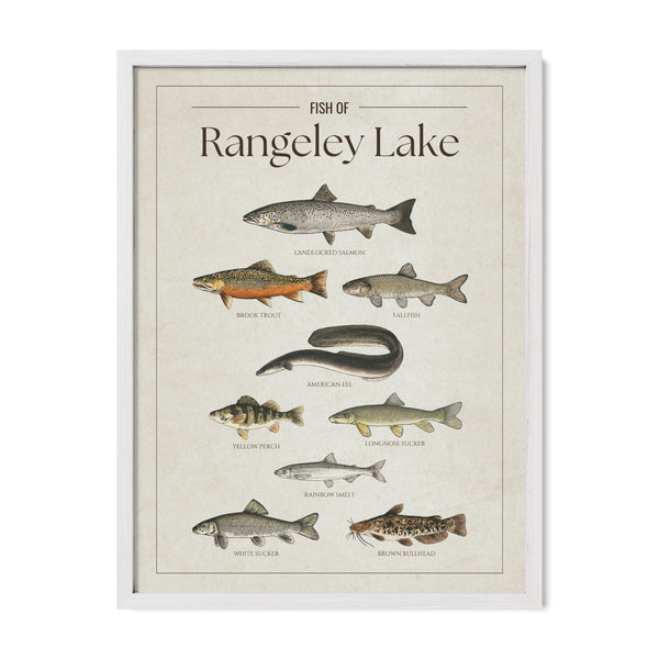 Rangeley Lake Print