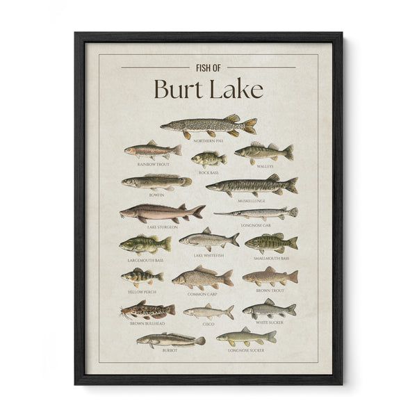 Burt Lake Print