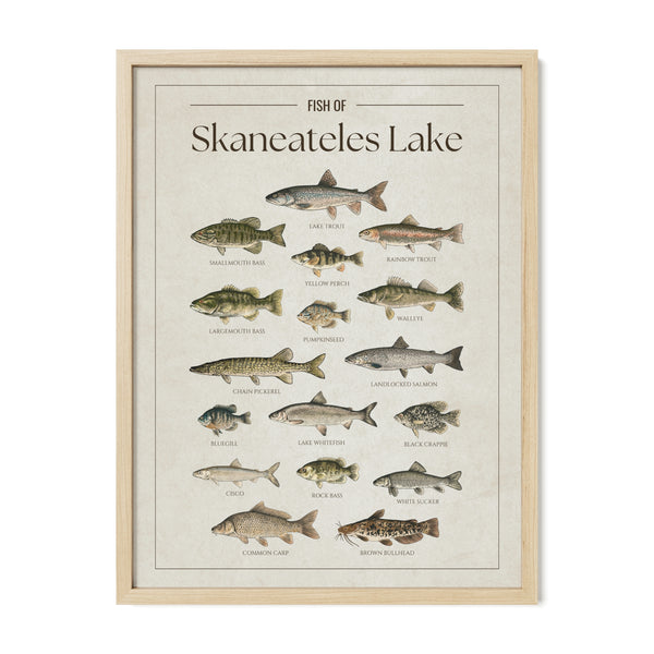 Skaneateles Lake Print