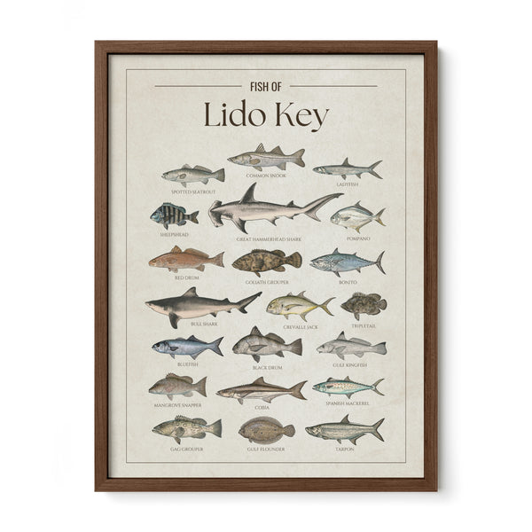 Lido Key Print