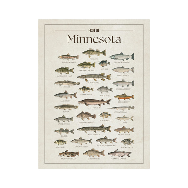 Minnesota Print
