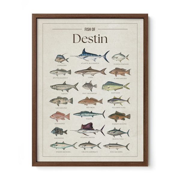 Destin Print