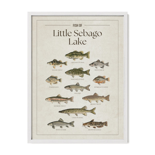 Little Sebago Lake Print