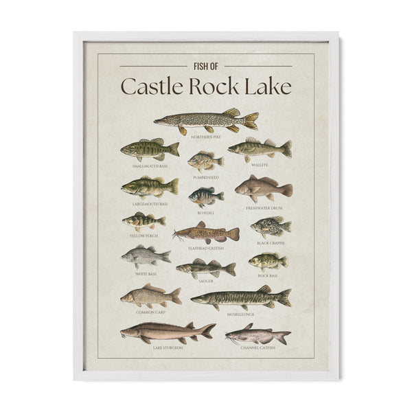 Castle Rock Lake Print