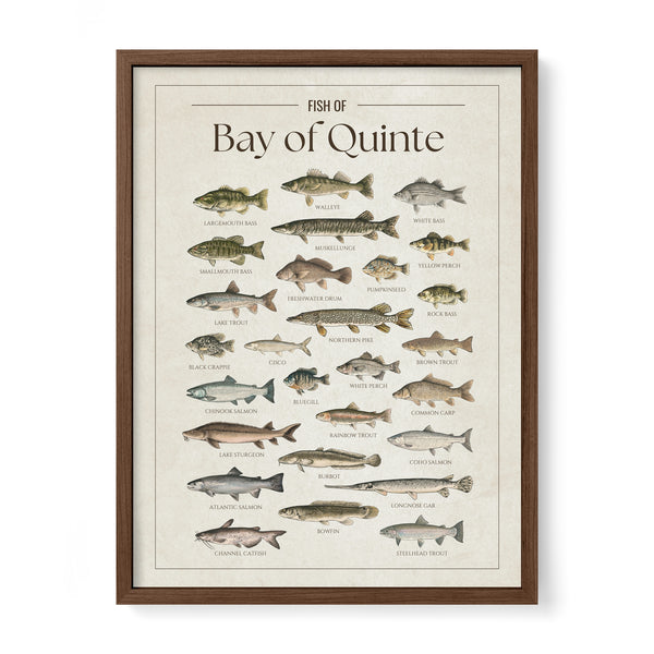Bay of Quinte Print