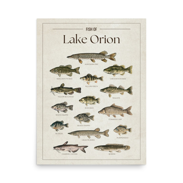Lake Orion Print