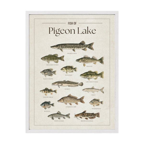 Pigeon Lake Print