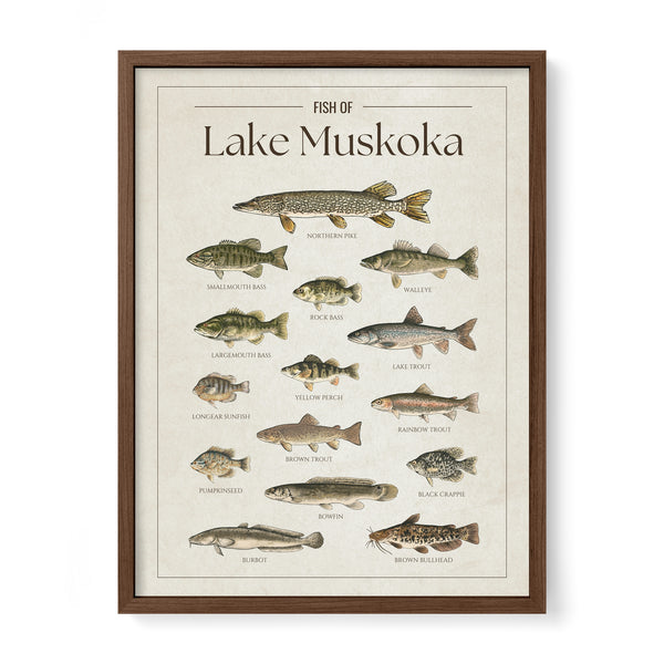 Lake Muskoka Print