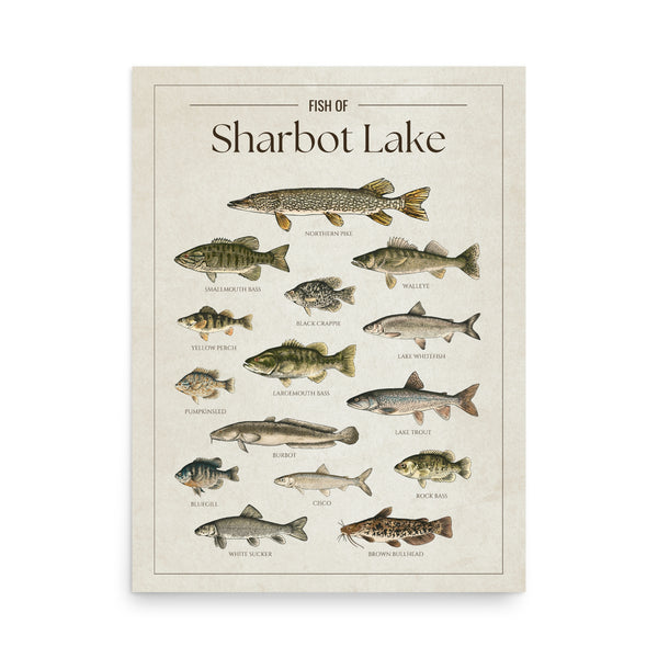 Sharbot Lake Print