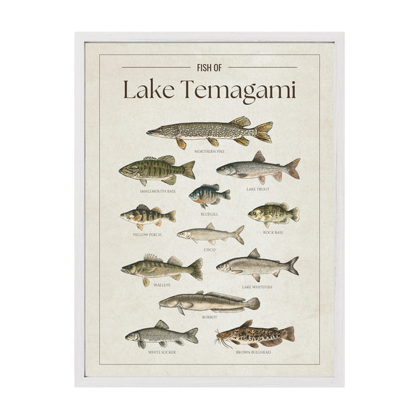Lake Temagami Print