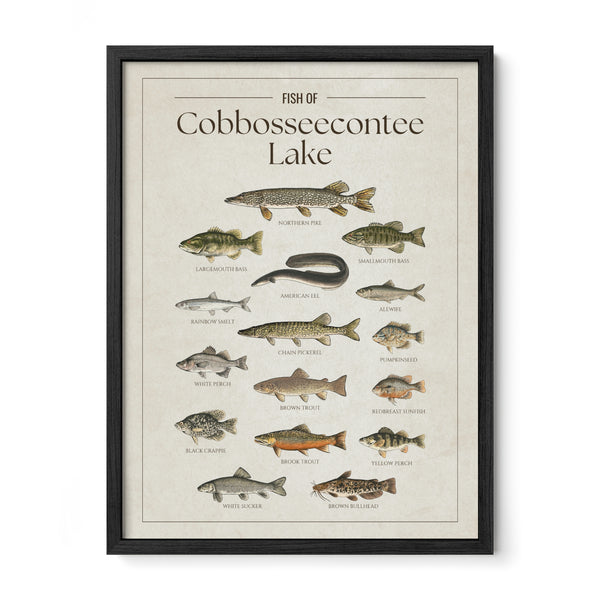 Cobbosseecontee Lake Print