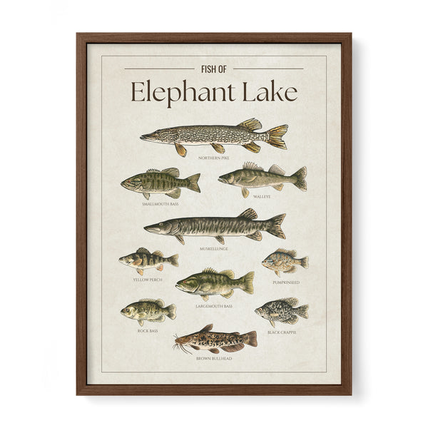 Elephant Lake Print