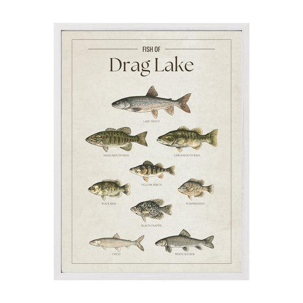 Drag Lake Print