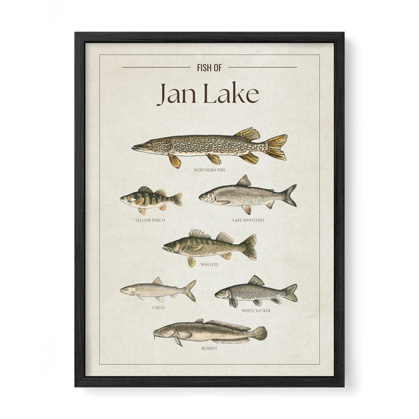 Jan Lake Print