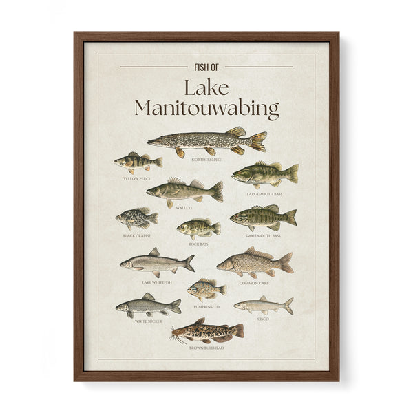 Lake Manitouwabing Print
