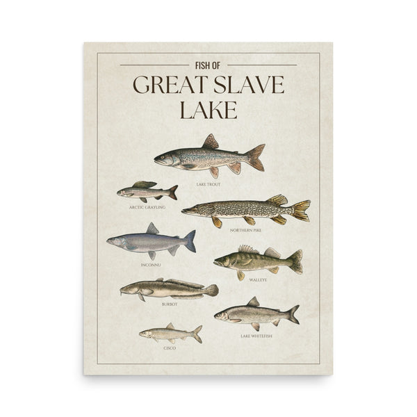 Great Slave Lake Print