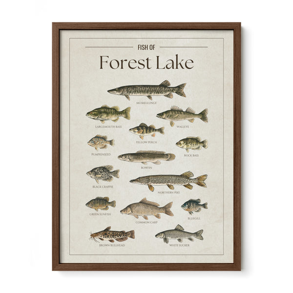 Forest Lake Print