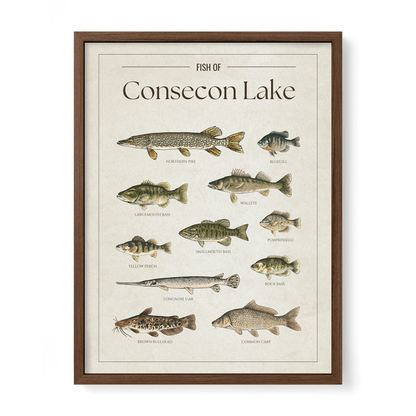 Consecon Lake Print