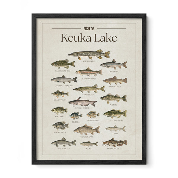 Keuka Lake Print