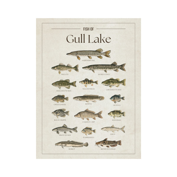 Gull Lake (Minnesota) Print