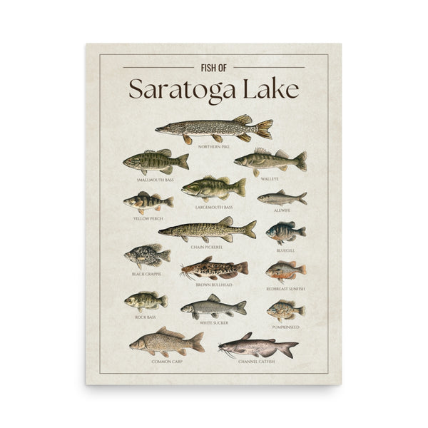 Saratoga Lake Print