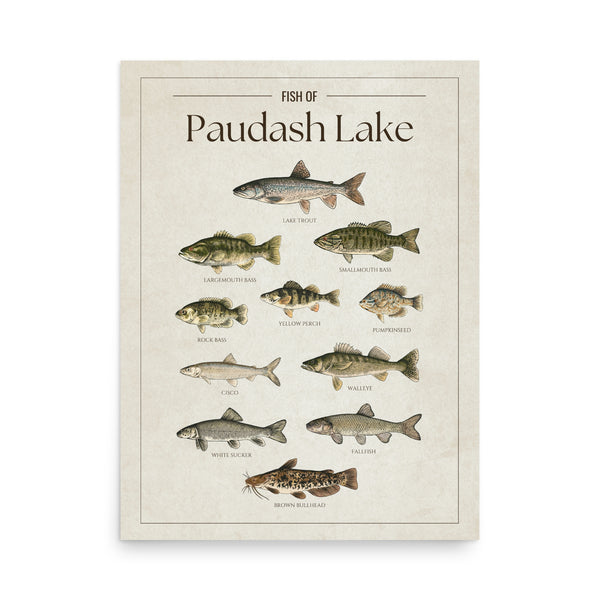 Paudash Lake Print