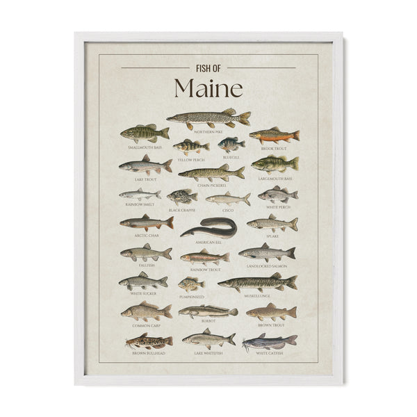 Maine Print