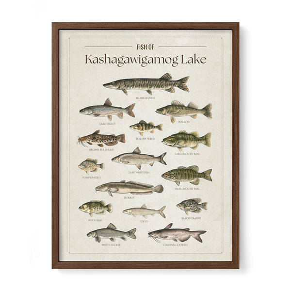 Kashagawigamog Lake Print