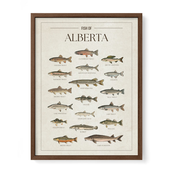Alberta Print