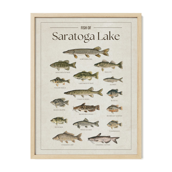 Saratoga Lake Print