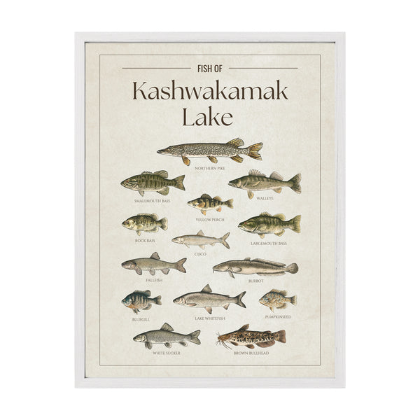 Kashwakamak Lake Print