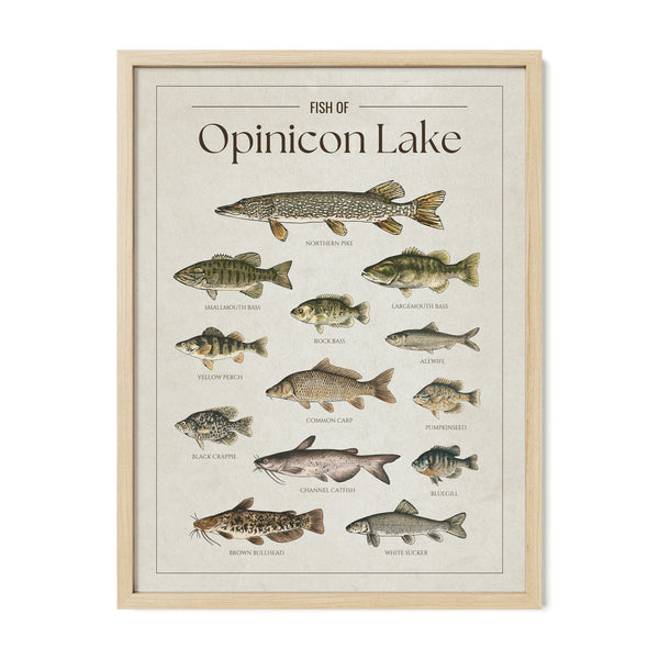 Opinicon Lake Print