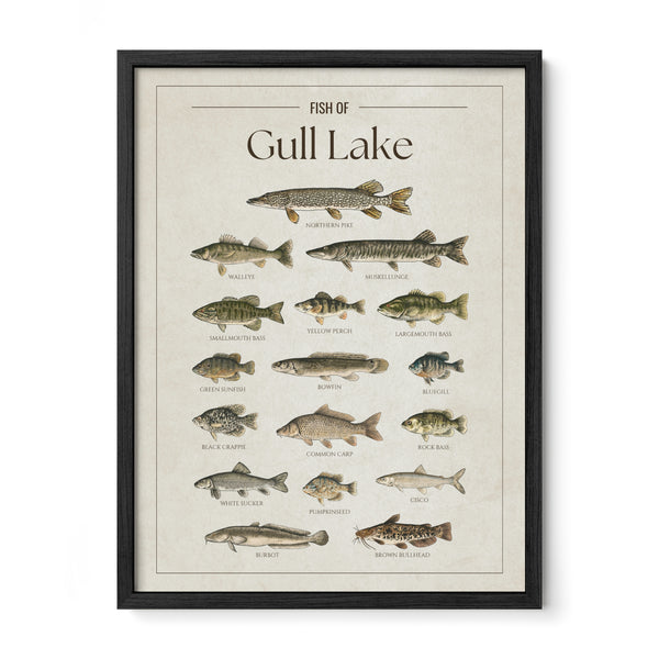 Gull Lake (Minnesota) Print