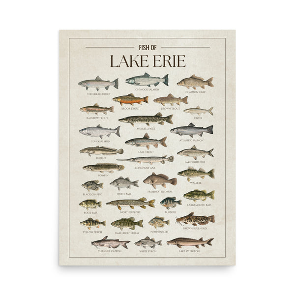 Lake Erie Print